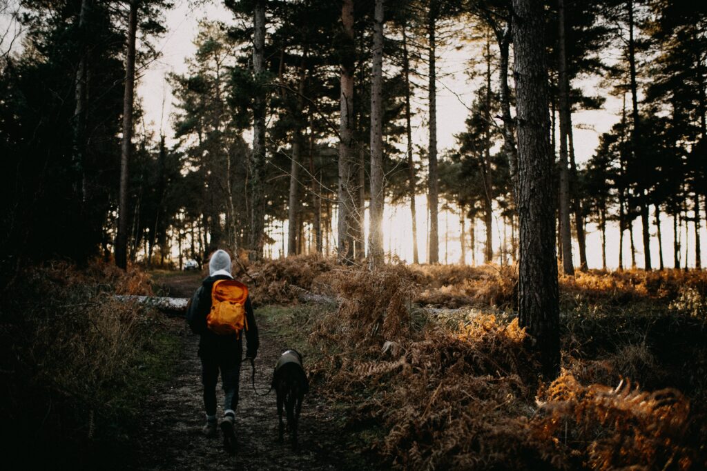 Hombre con mochila amarilla en la espalda y con su perro en el bosque.