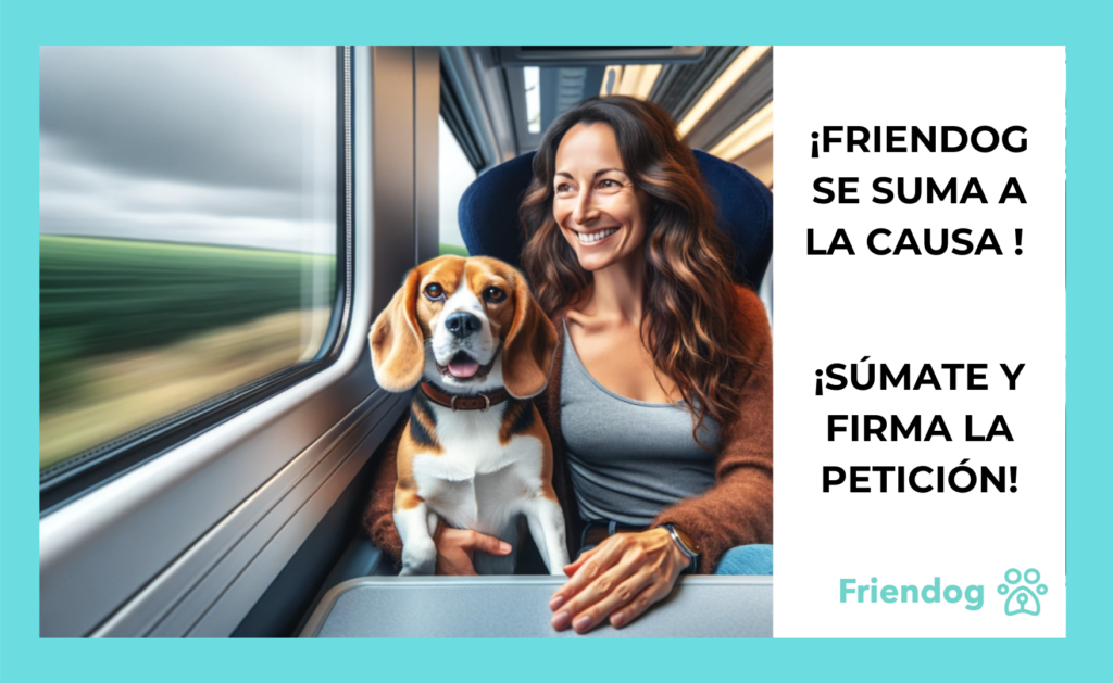 Perro beagle y su dueña disfrutando su viaje en tren.